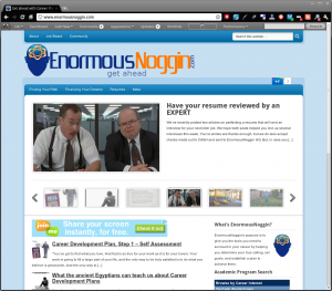 EnormousNoggin.com